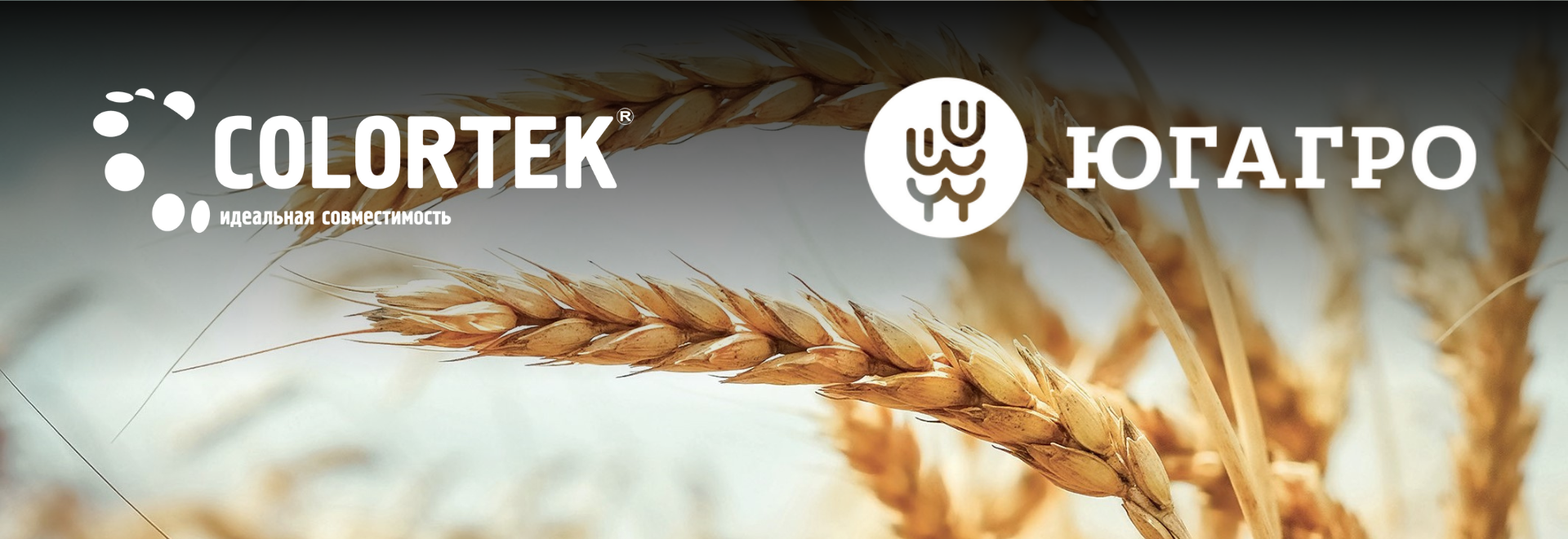 ЮГАГРО-2025: узнайте все о материалах для маркировки «Честный ЗНАК» на стенде «Колортек Риббонс» ЮГАГРО-2025: узнайте все о материалах для маркировки «Честный ЗНАК» на стенде «Колортек Риббонс»